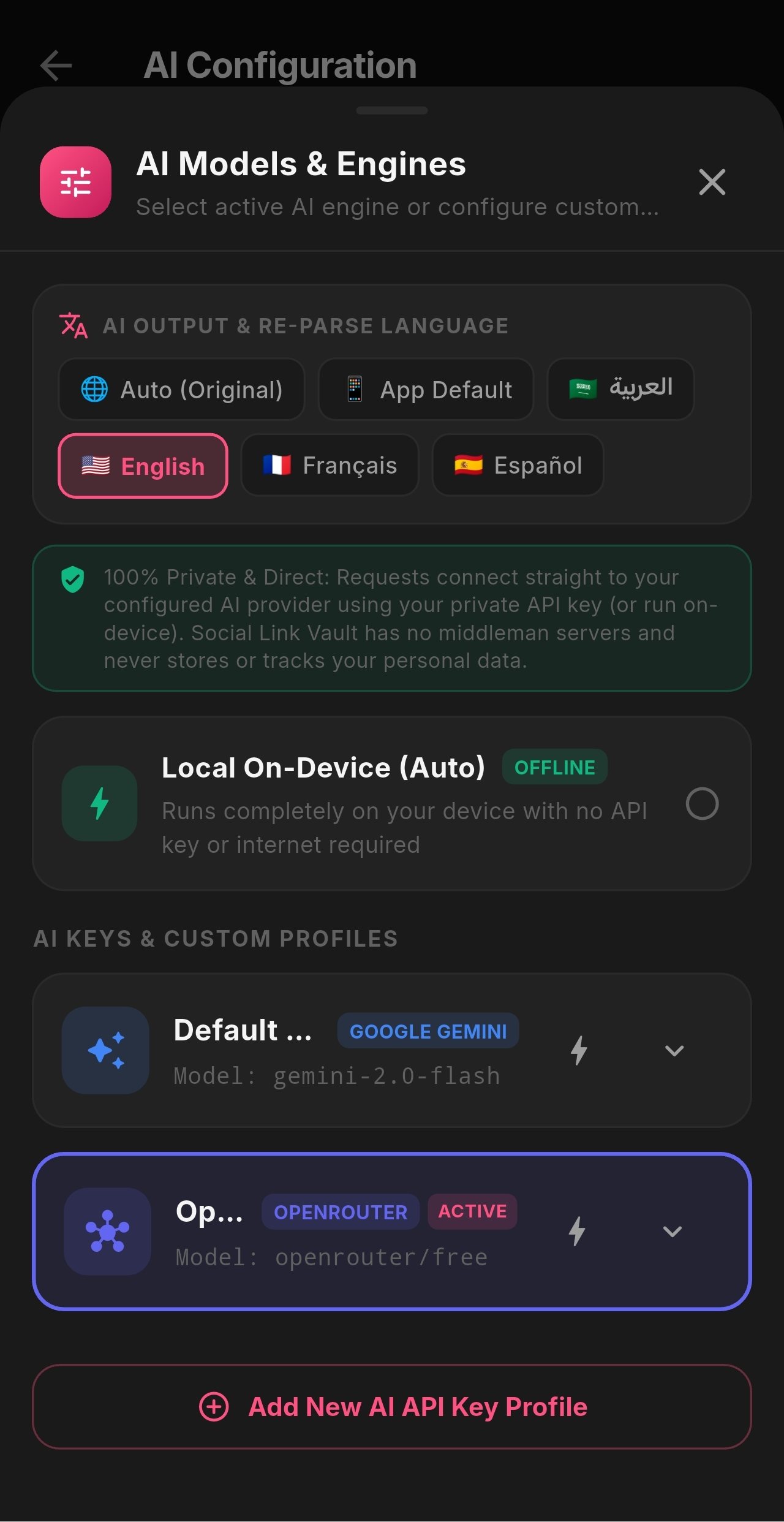 Setup Custom AI Models